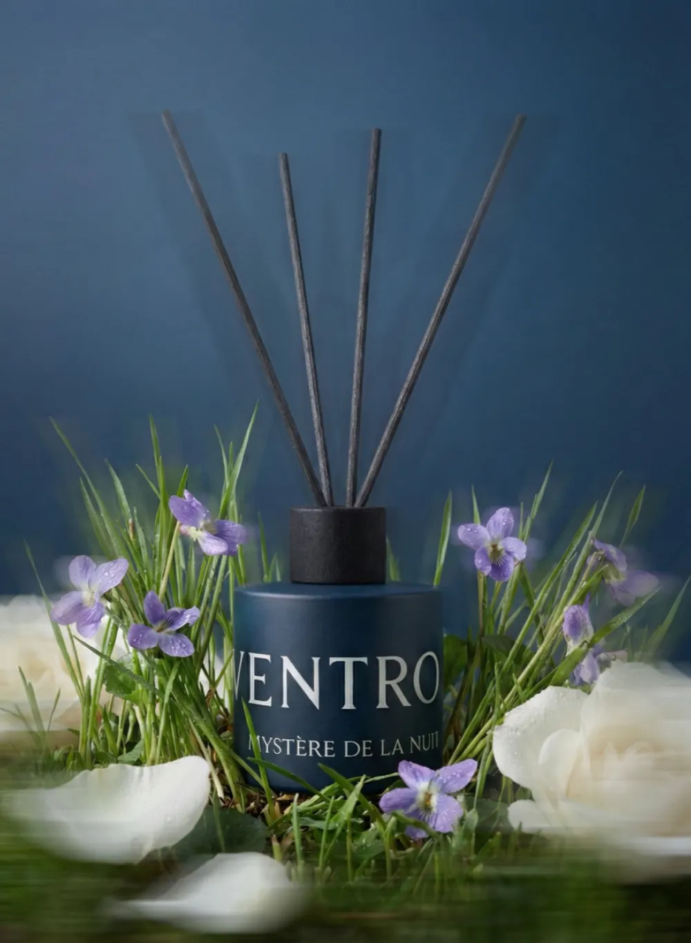 Diffuser Mystère de la nuit