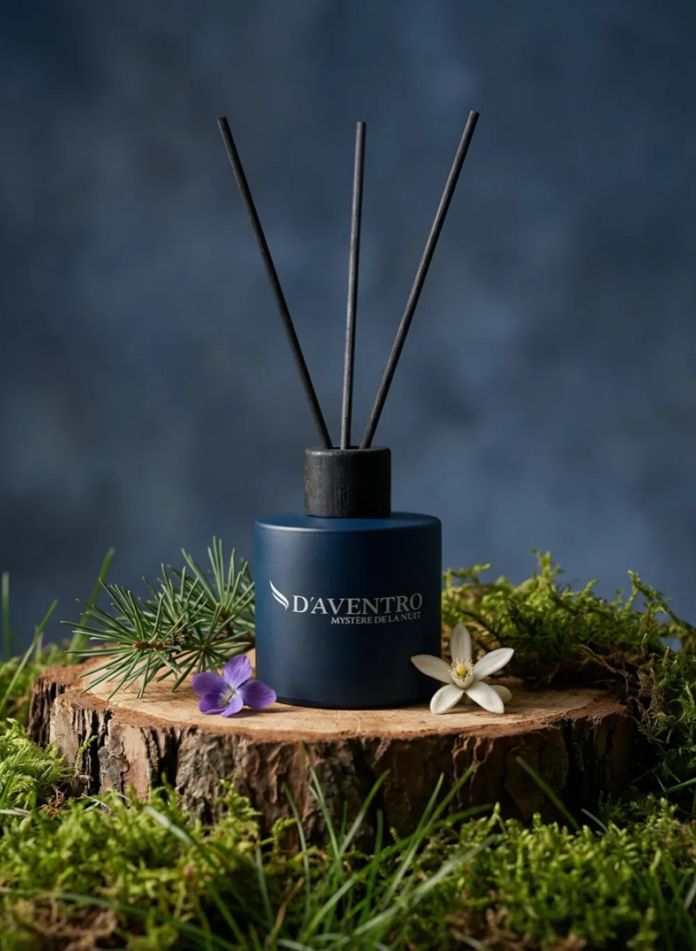 D'Aventro Miracle & Mystère Collection