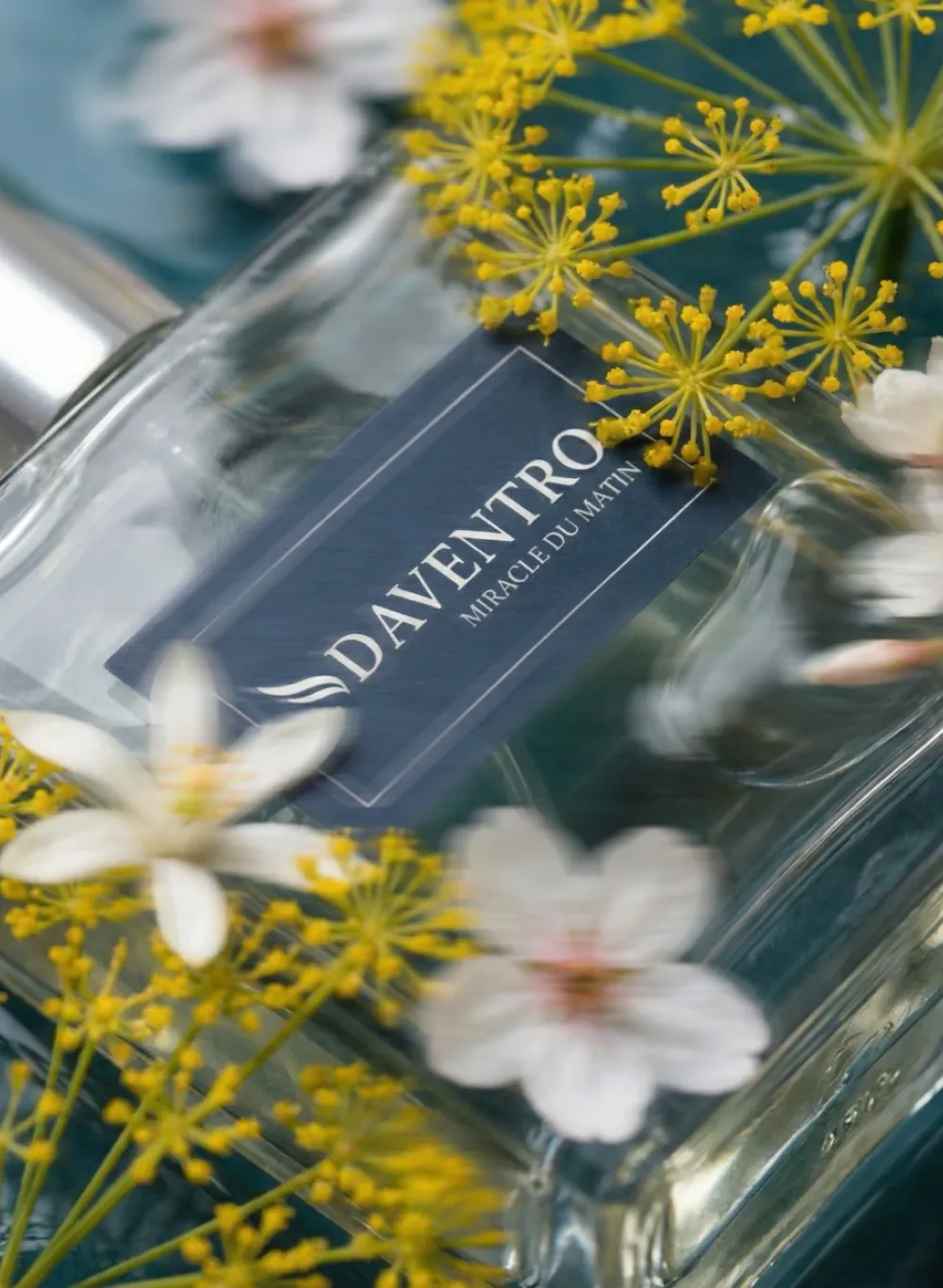 D'Aventro Miracle & Mystère Collection